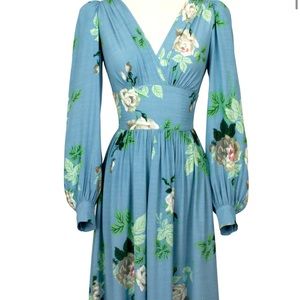 ISO Trashy Diva Bianca Dress in French Blue Roses